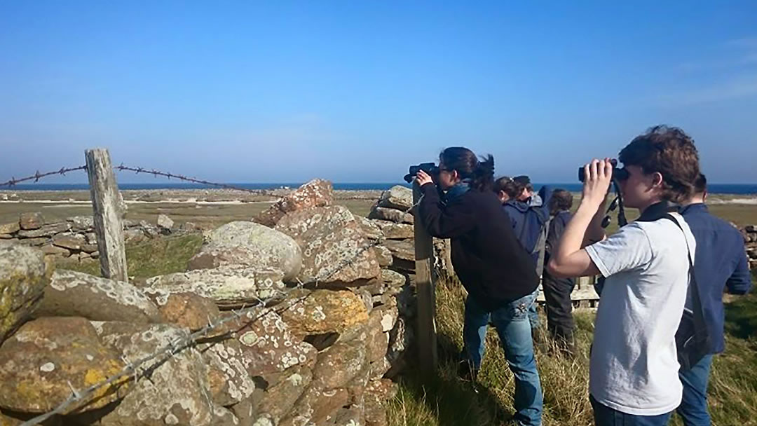 North Ronaldsay Bird Observatory bird watching