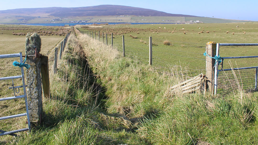Field in the island of Wyre, Orkney