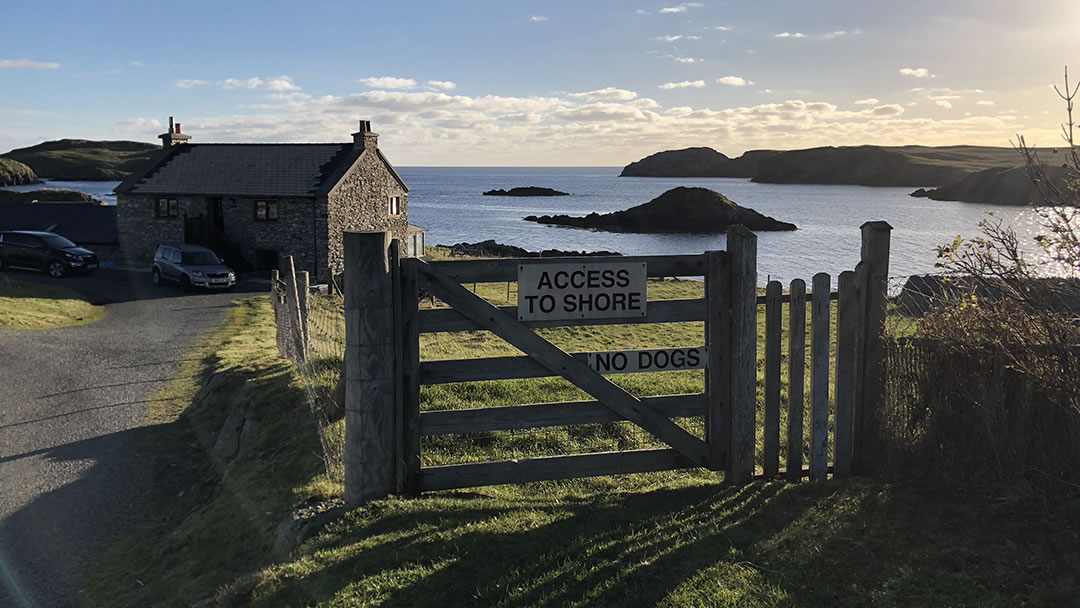 Gletness, Nesting, in Shetland