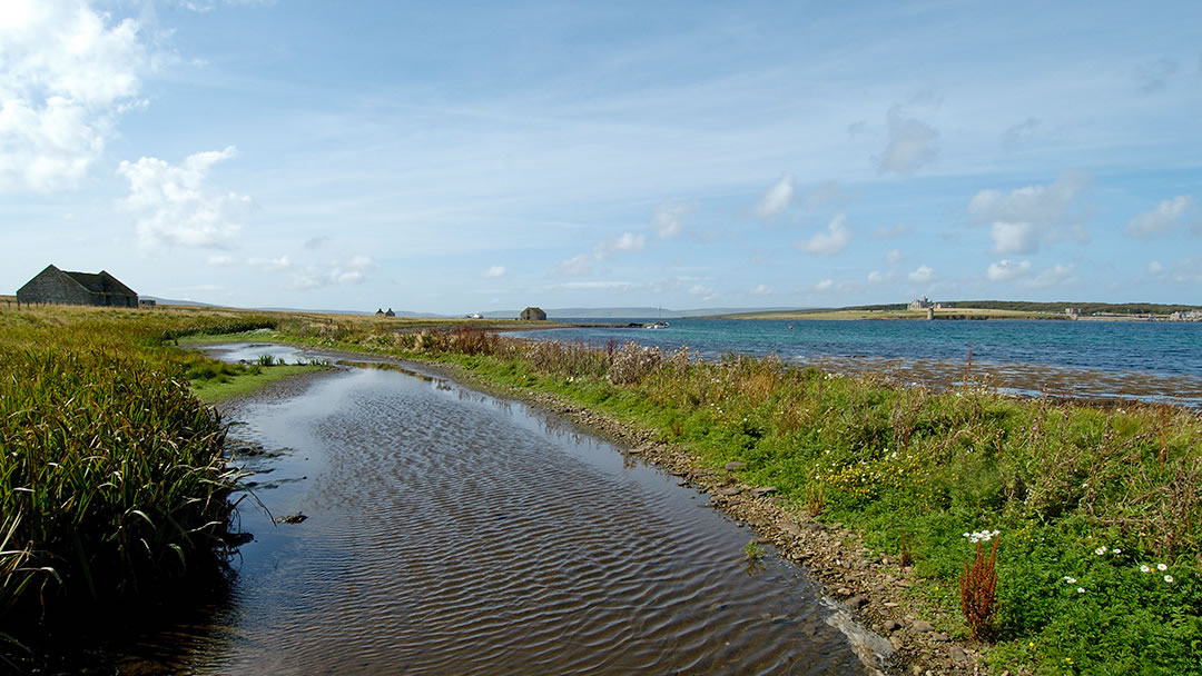 Viewing Shapinsay across the water from Helliar Holm in Orkney