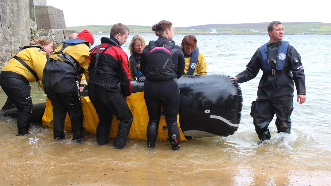 Training course for rescuing marine life