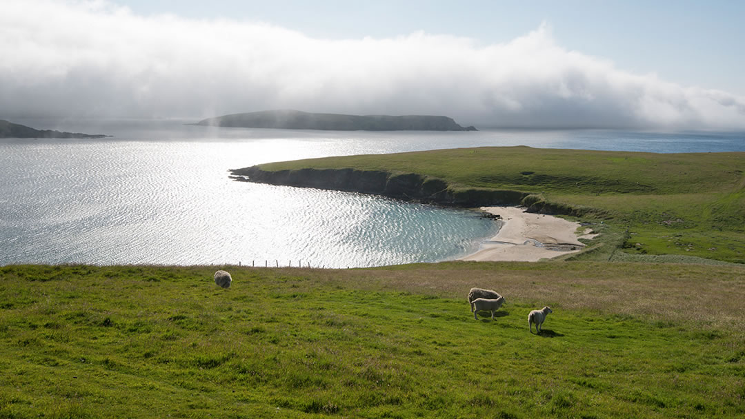 Rerwick beach, Shetland