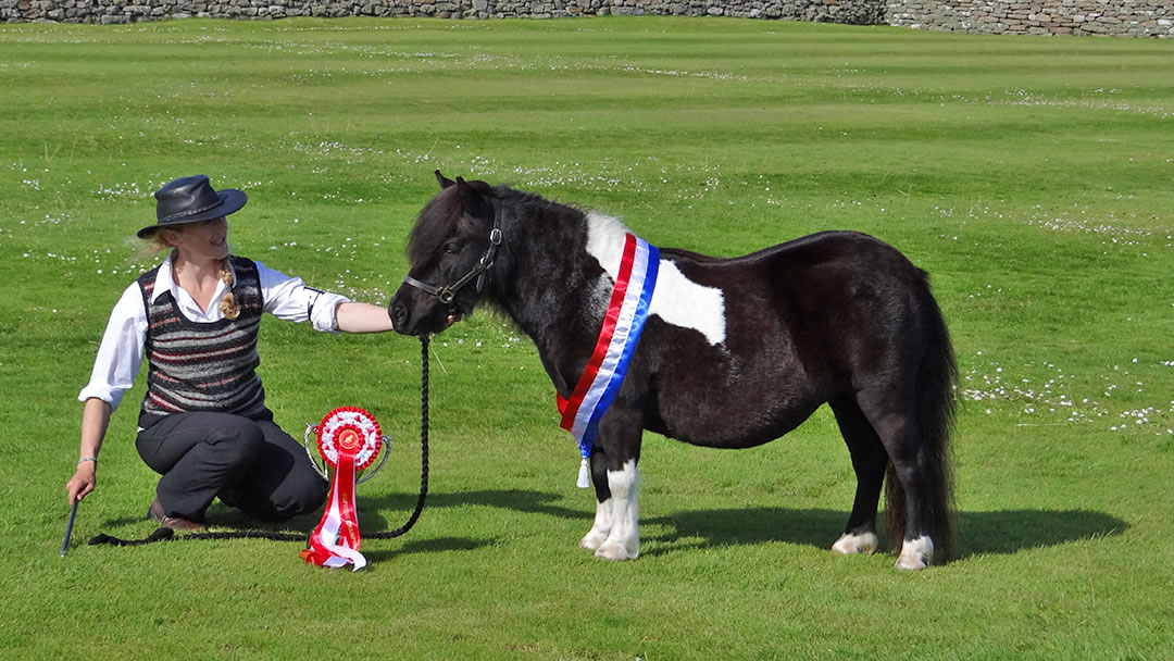 Robin's Brae Quartz Supreme Champion