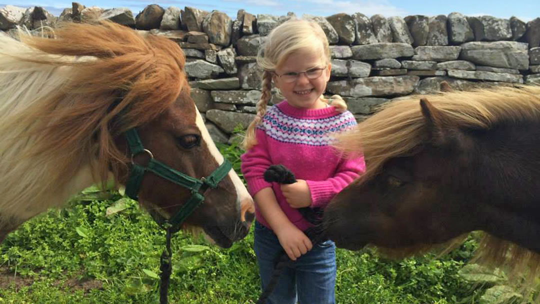 Shetland ponies are really good with children