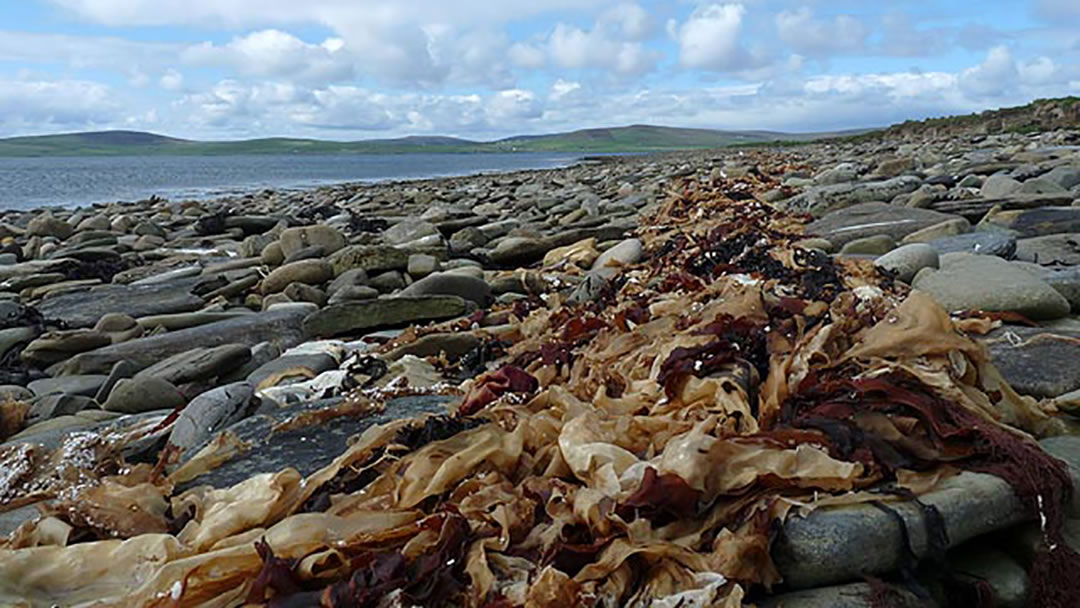 The Taing, Wyre, Orkney