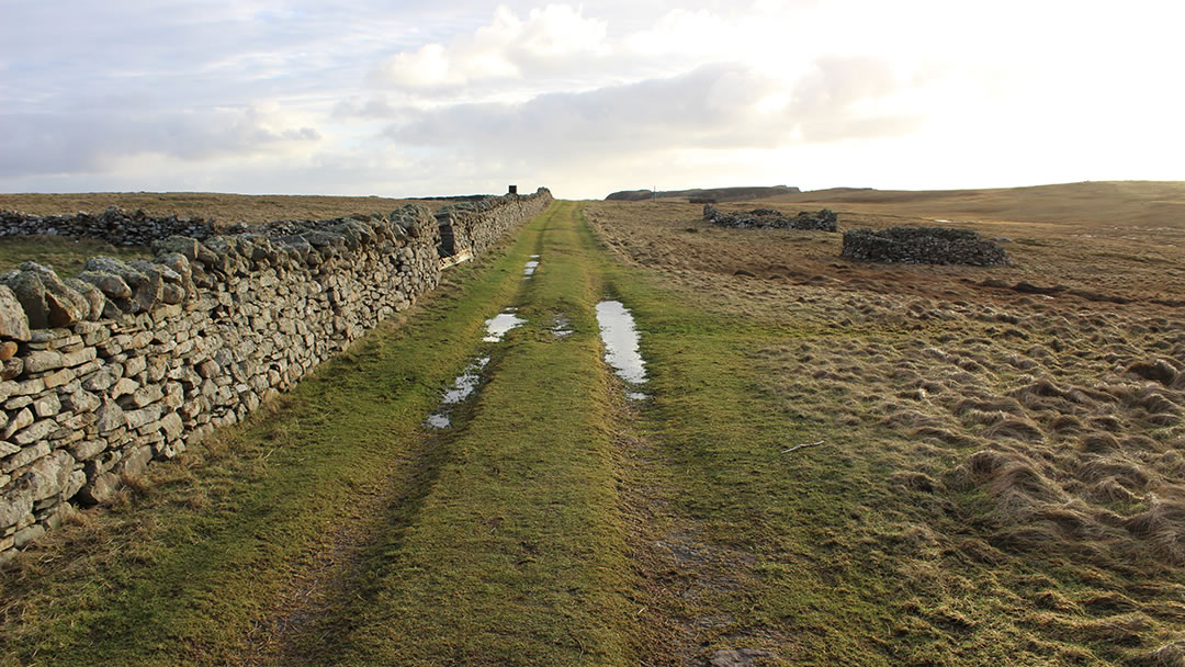 The track to the Ness of Burgi, Shetland