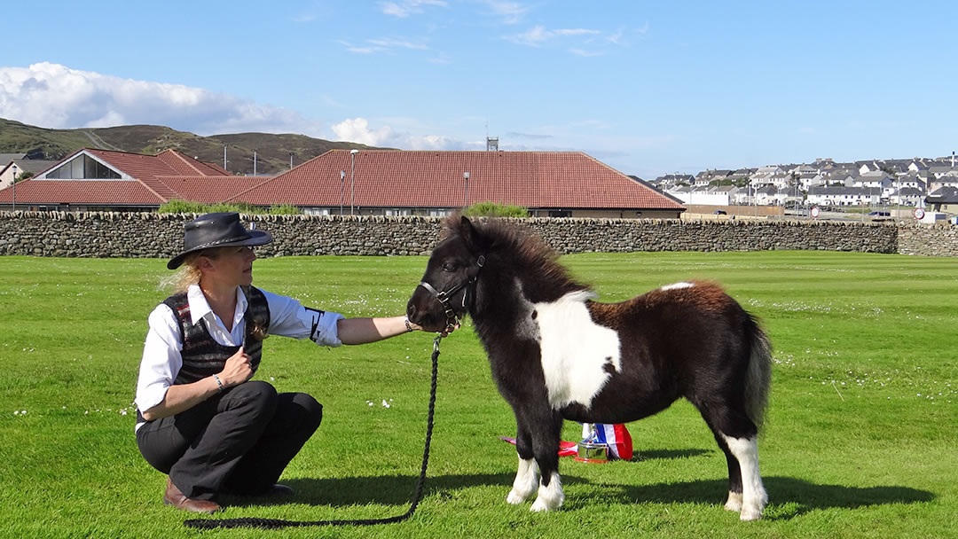 Topaz Champion foal 