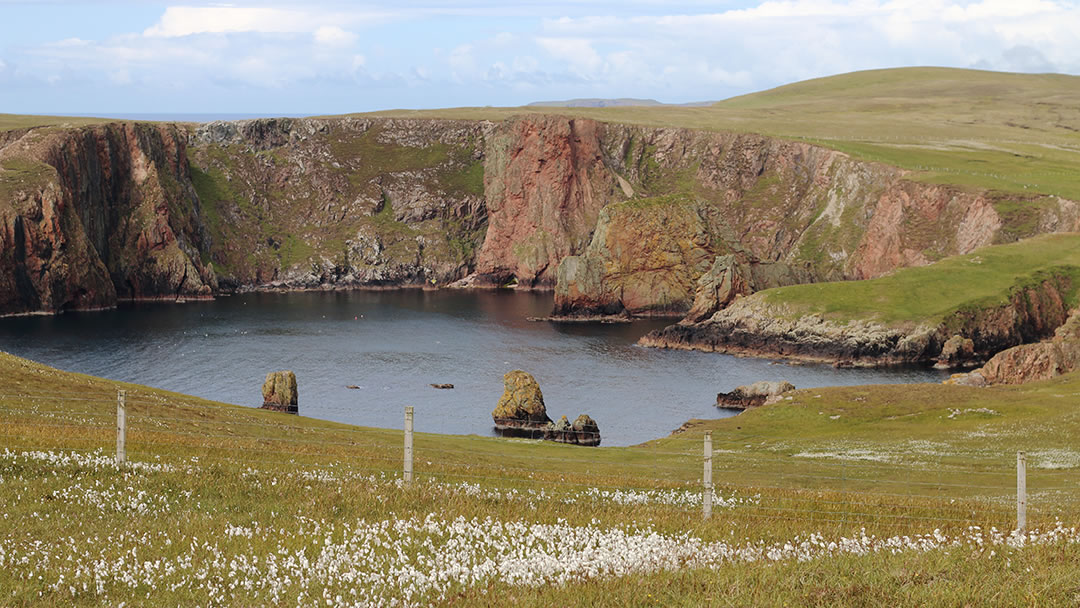 Westerwick cliffs, West Mainland