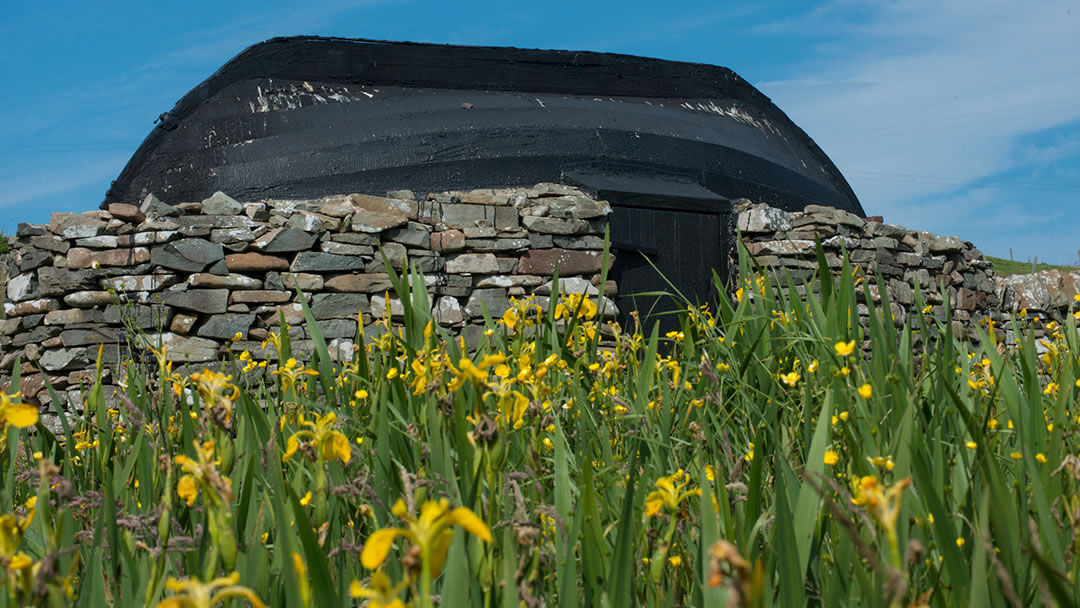 Shed at Boddam with boat for a roof