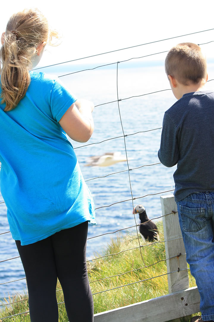 Children at Sumburgh Head in Shetland