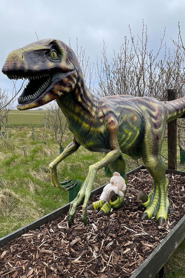 Dinos in Michaelswood in Aith, Shetland