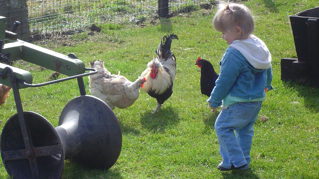 Corrigal Farm Museum in Orkney