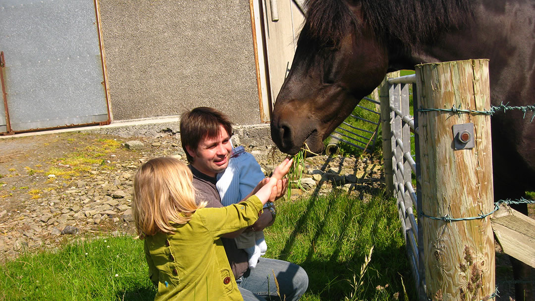 Feeding a horse in Orkney