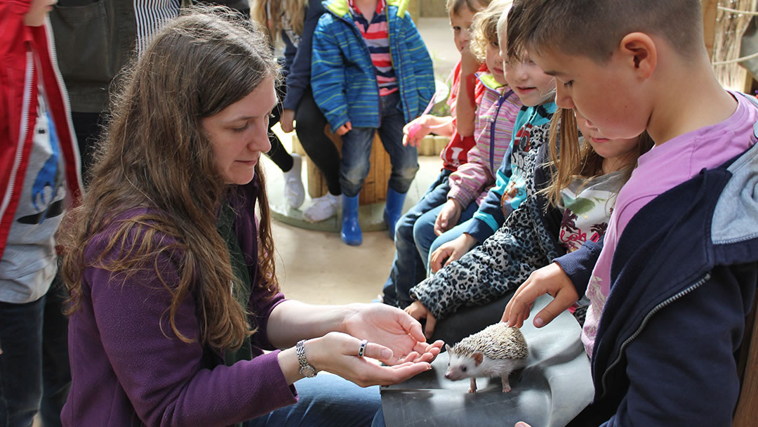 Handling Session at Fern Valley Wildlife Centre, Orkney