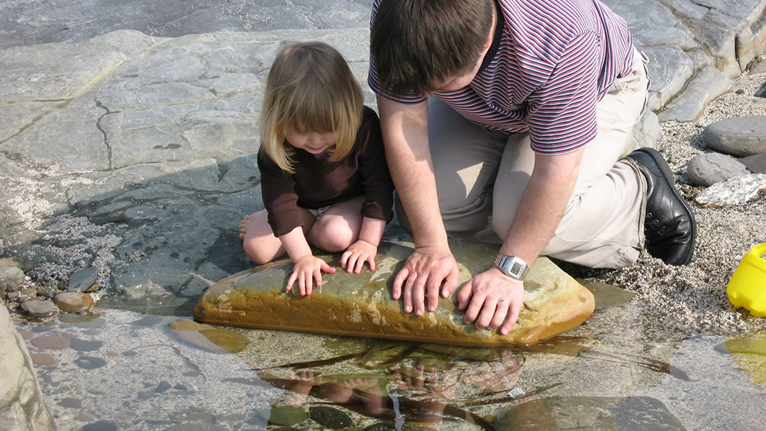 Searching rockpools in Orkney