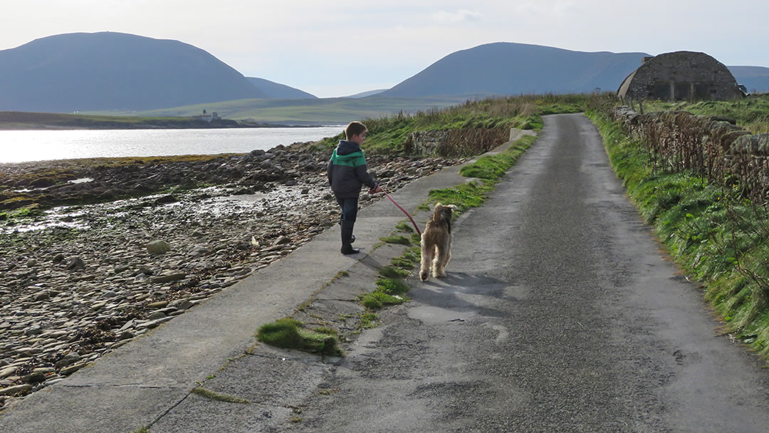 West Shore walk, Stromness, Orkney