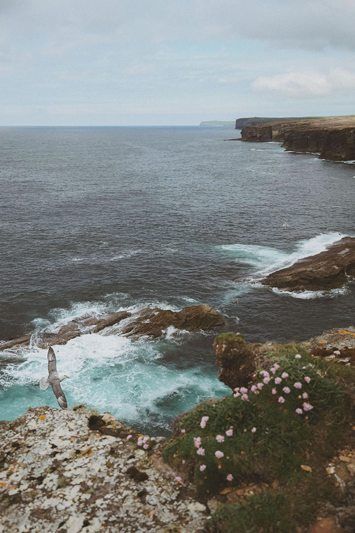 The cliffs at Yesnaby