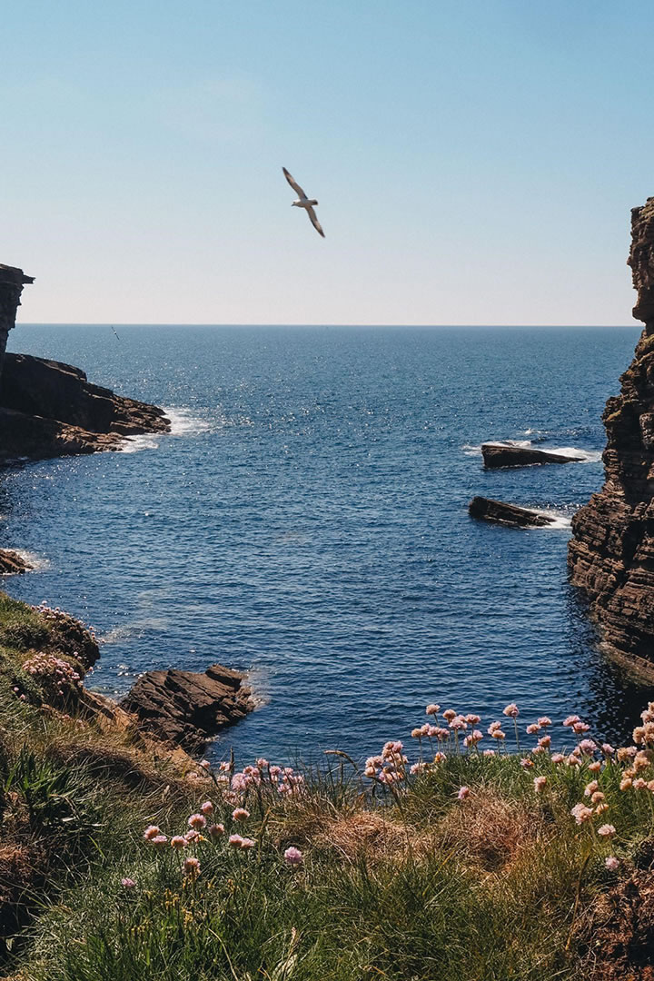 Yesnaby cliffs in the Orkney Islands