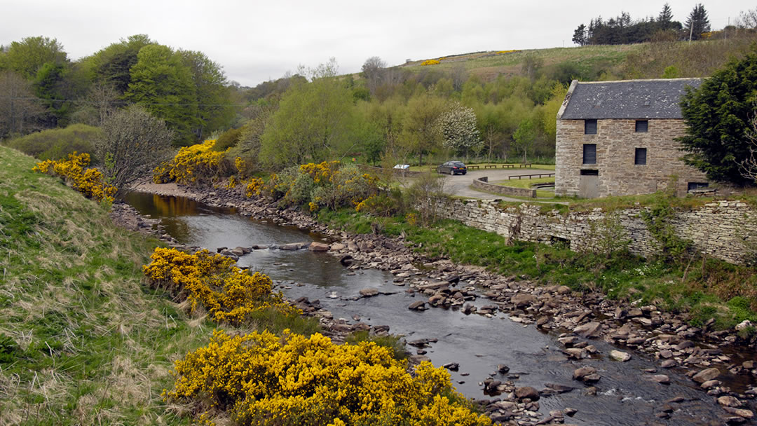 Dunbeath strath