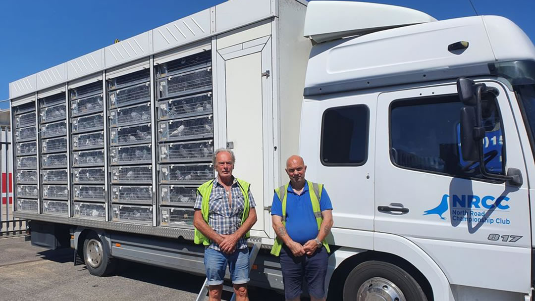 The North Road Championship Club - Pigeon racing