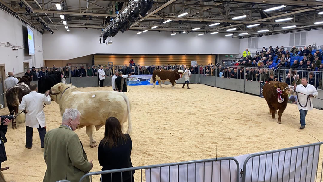 Royal Northern Agricultural Society Spring Show