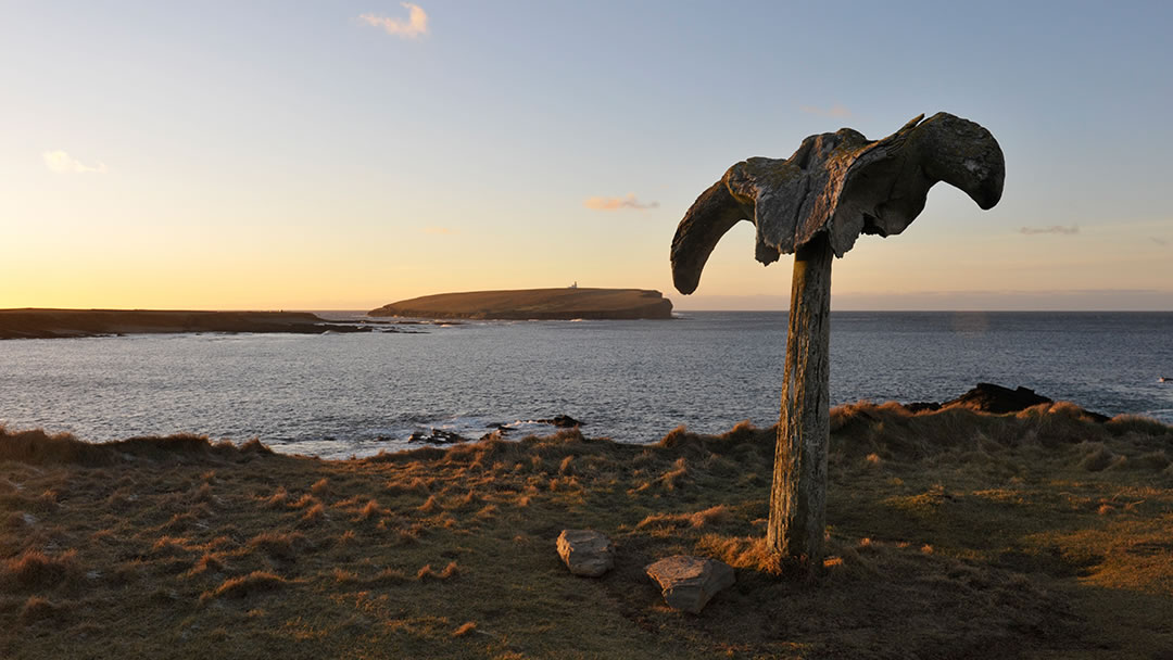 The Birsay whalebone at sunset