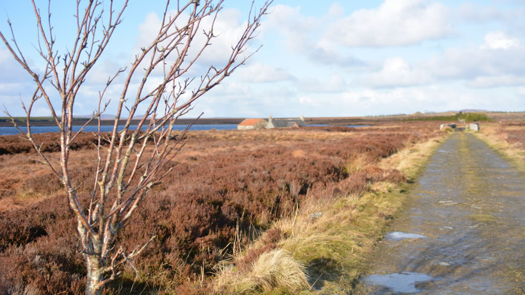 Westerdale in Caithness