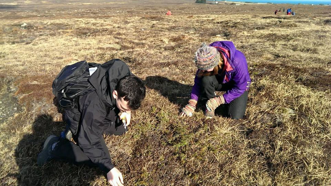 Dunnet Bay Distillers find botanicals on Caithness clifftops