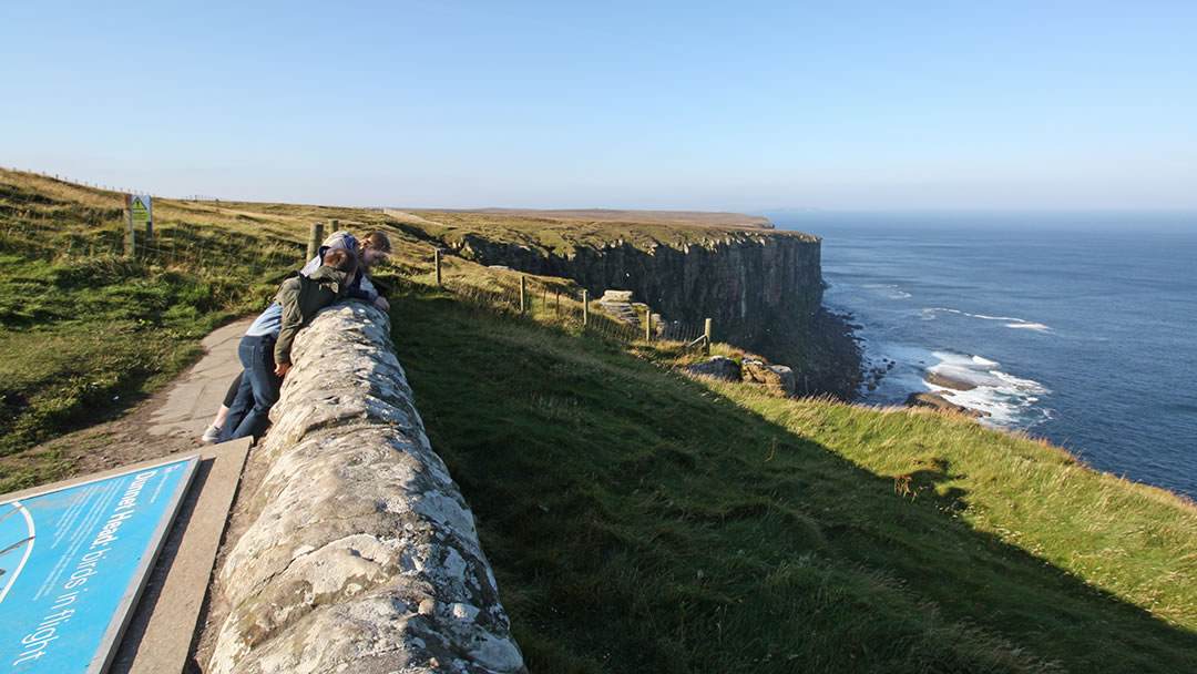 Looking for seabirds at Dunnet Head