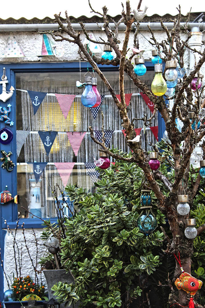 Decorated tree in Footdee