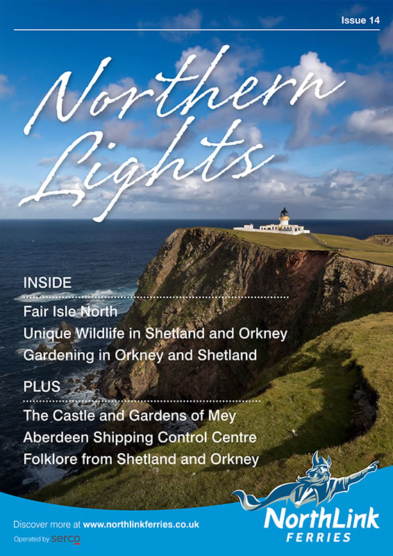Northern Lights Issue 13