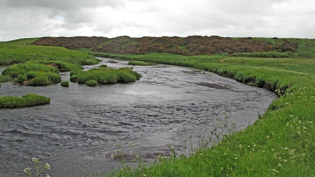 The Island Stream on Beat 5 of the Thurso River