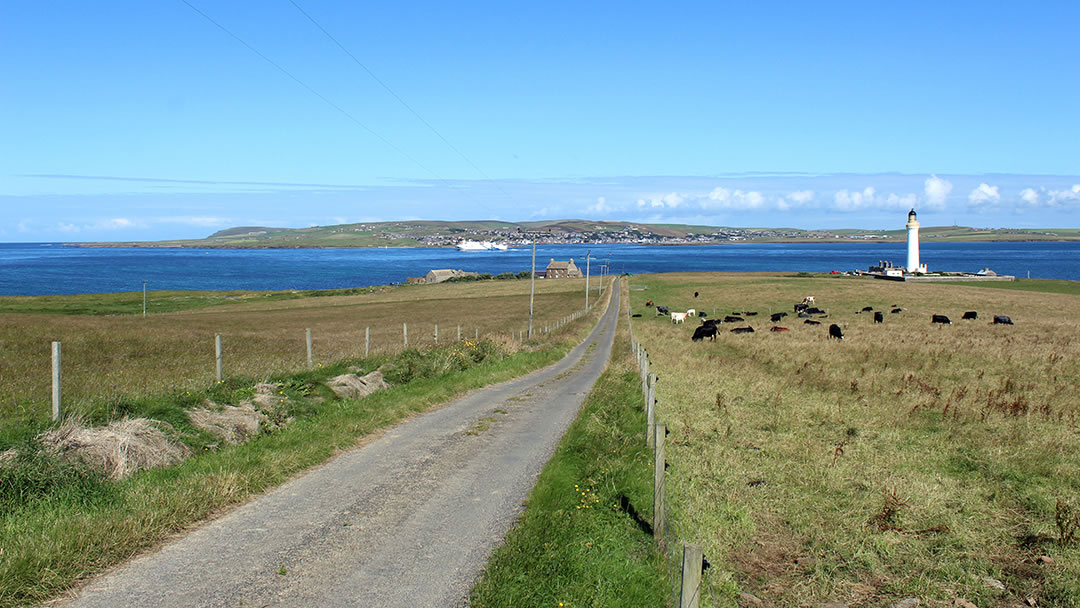 Watching MV Hamnavoe leave Stromness from the island of Graemsay