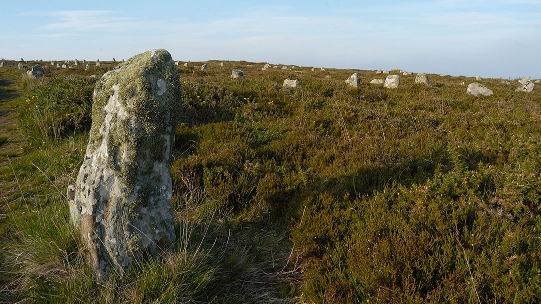 Hill O' Many Stanes, Caithness