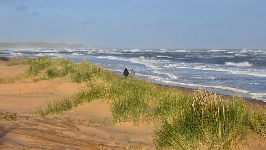 Autumn beach walk, Newburgh