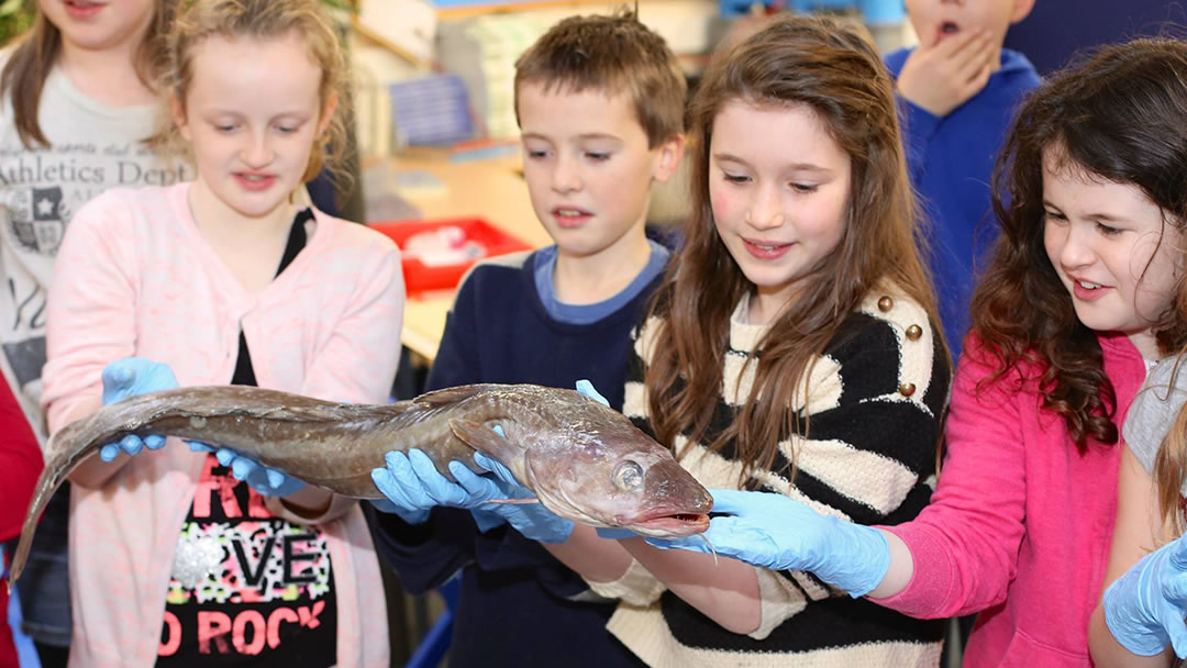 Brae School fish course, Shetland
