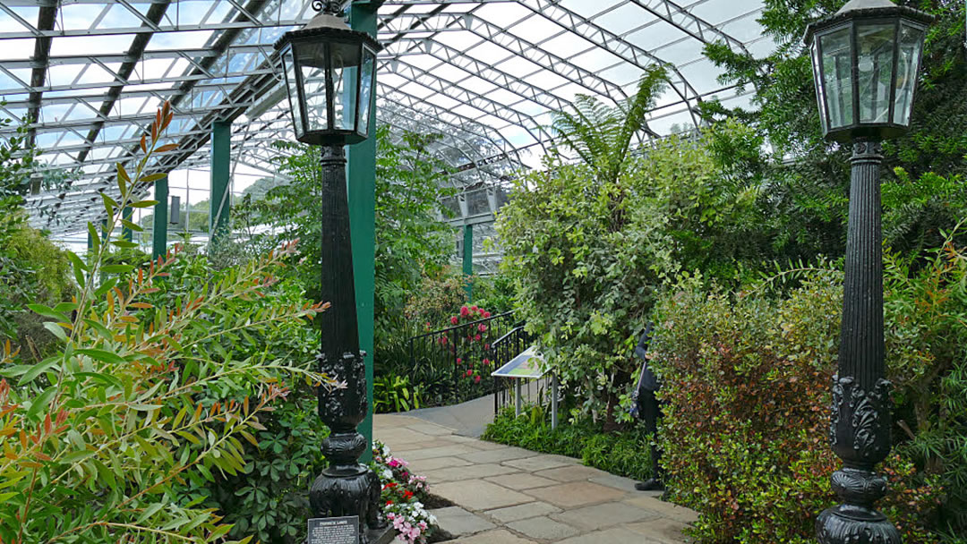Duthie Park - Provost's Lamps in the winter gardens