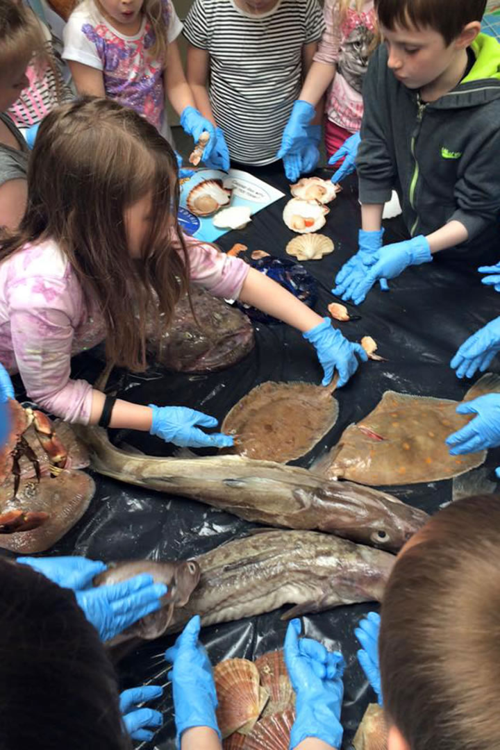 Frankie's fish course in Brae, Shetland