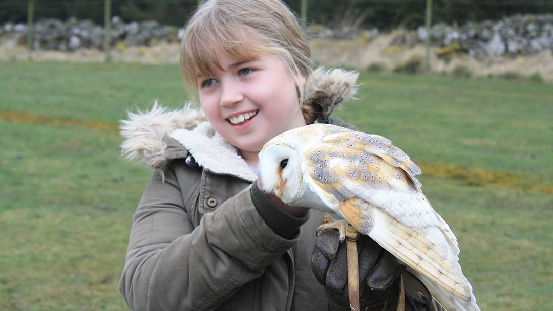 Huntly Falconry Centre, Aberdeenshire
