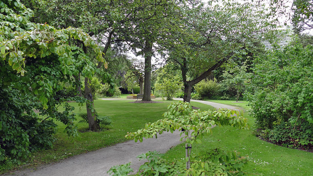 Path in Cruickshank Botanic Gardens