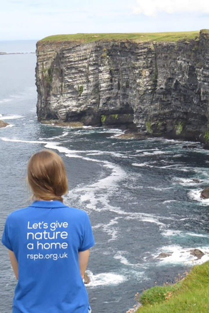 RSPB at Marwick Head