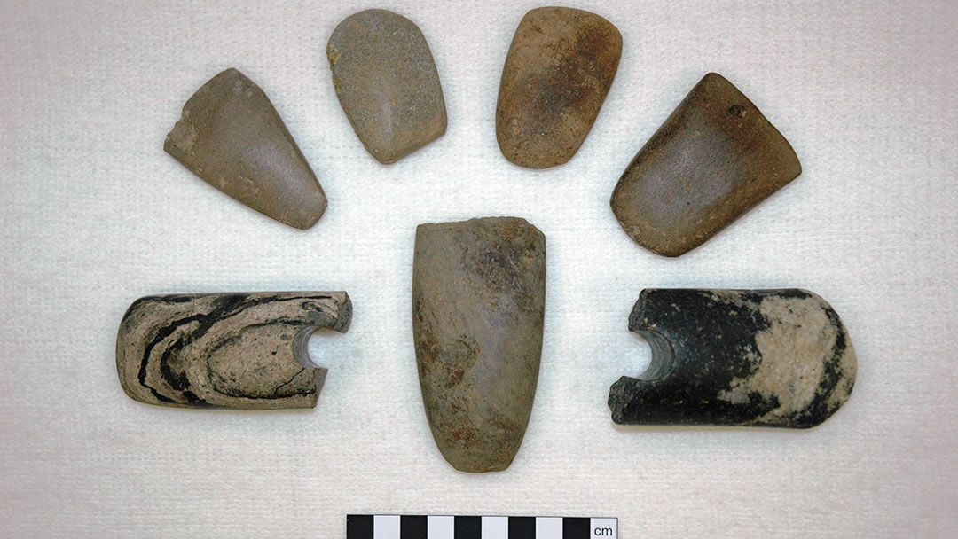 A small selection of some of the polished stone axes and maceheads discovered at the Ness