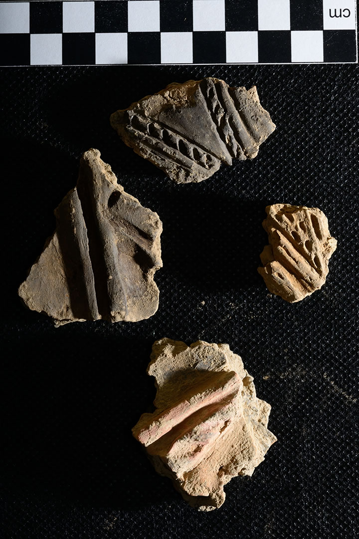 Fragments of decorated Grooved Ware pottery