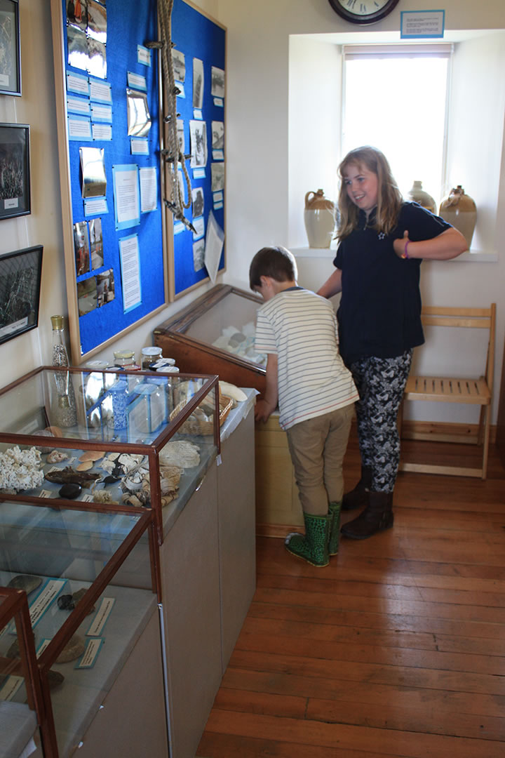 Shells at Tangwick Haa Museum, Shetland