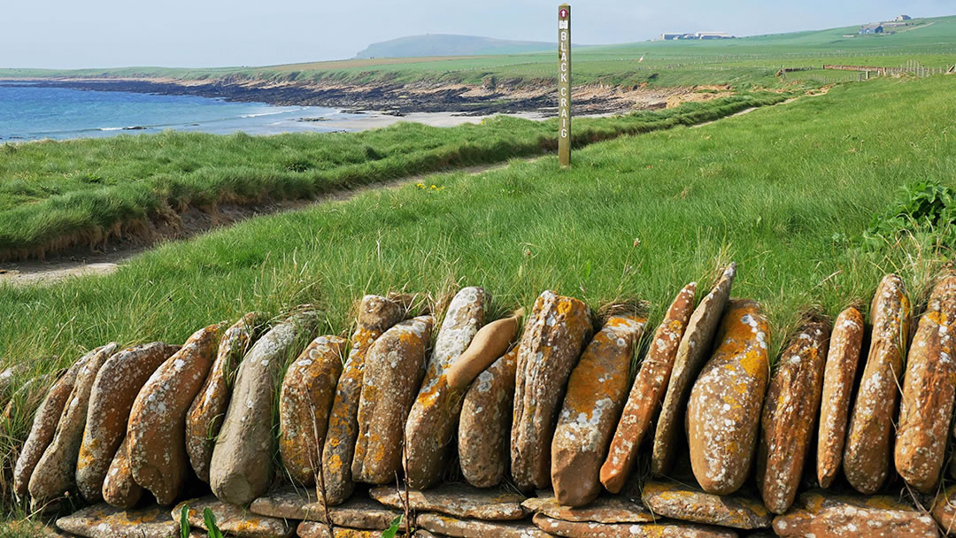 Warbeth toward the Black Craig, Orkney