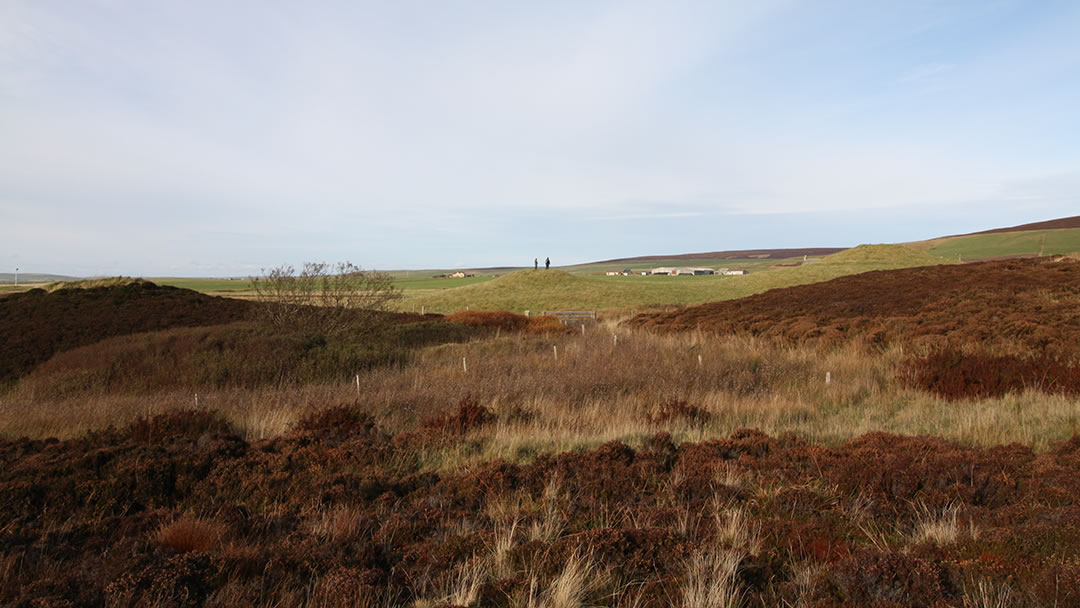 The Knowes of Trotty is the largest Bronze Age burial site in Scotland