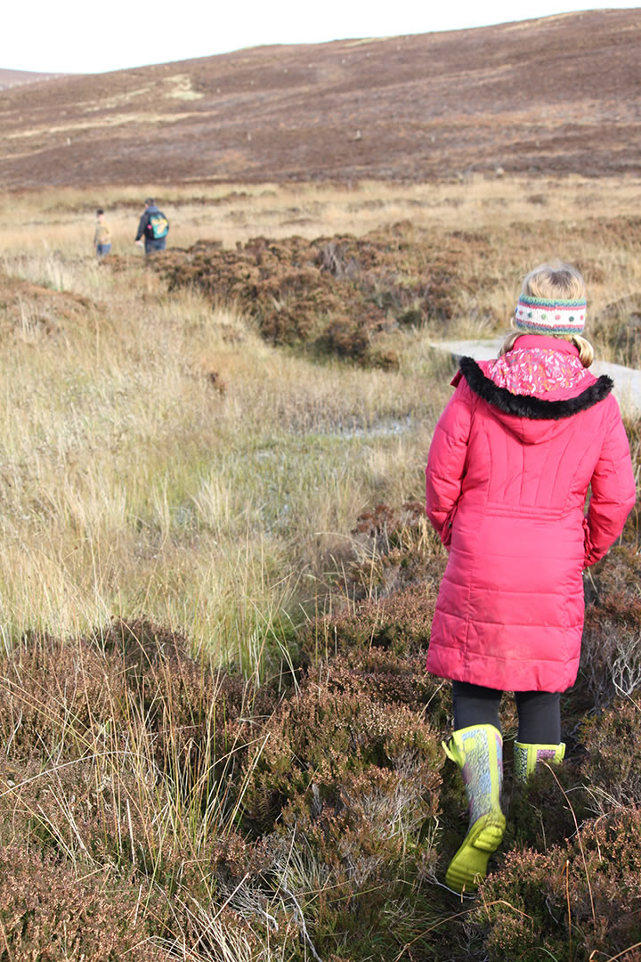 Boardwalks to get to the Knowes of Trotty in Orkney