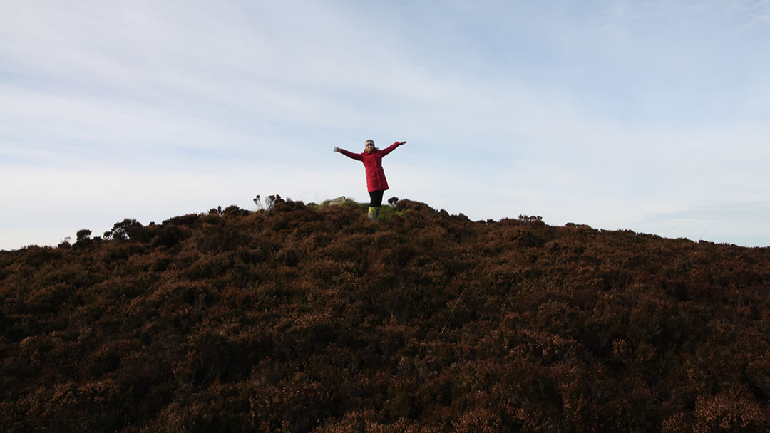 Milly on top of the heathery mound - the Knowes of Trotty in Orkney