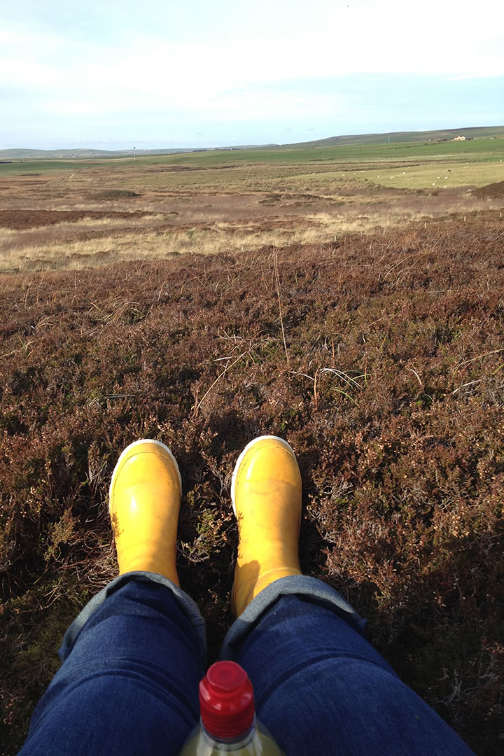 The view at the Knowes of Trotty, Orkney