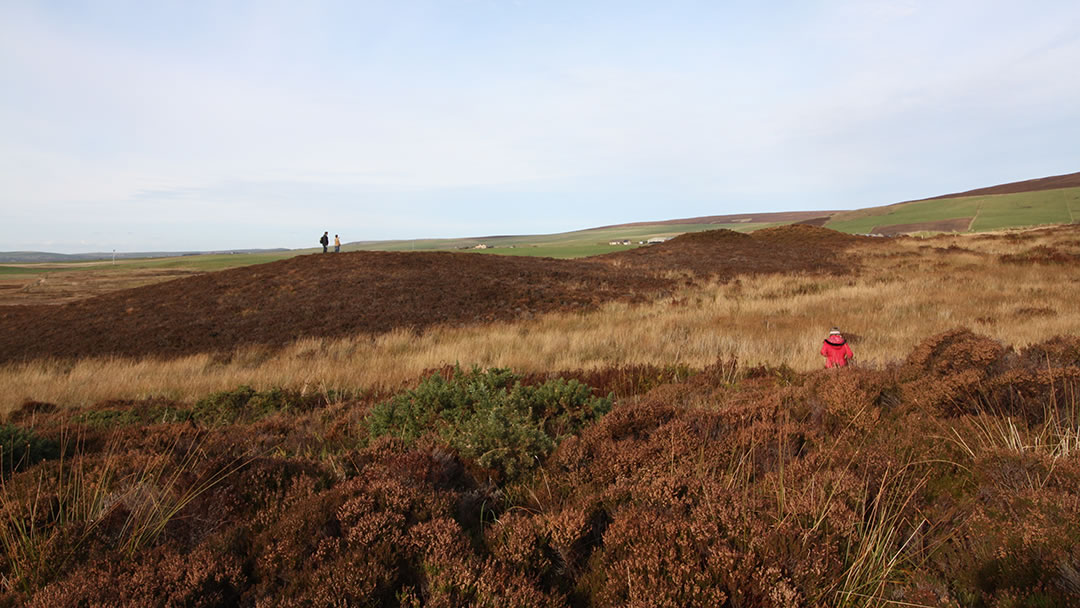 Standing upon the Bronze Age site, the Knowes of Trotty, in Orkney